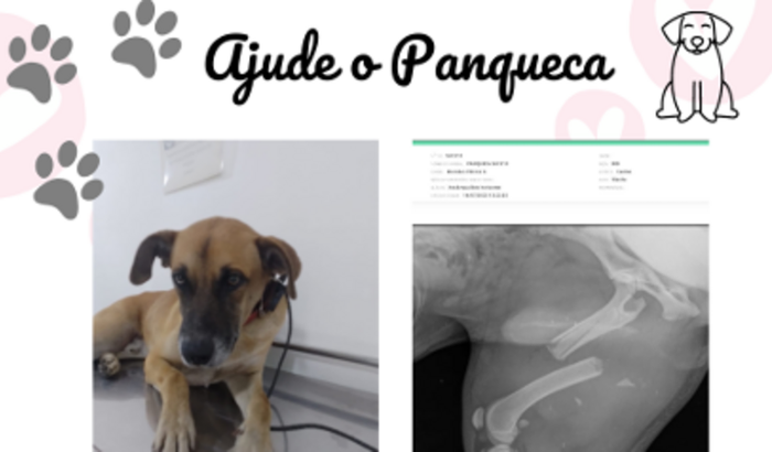 Ajude o Panqueca