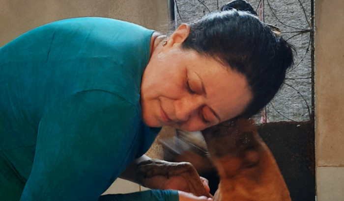 Compra de terreno para abrigo de animais do lar dos anjos