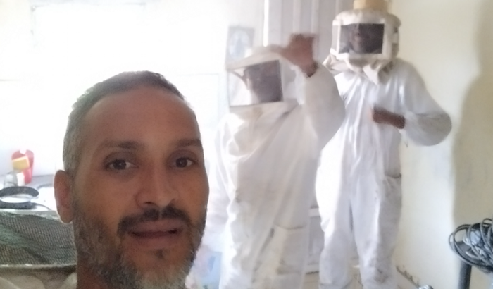 Meu Primeiro Apiário 