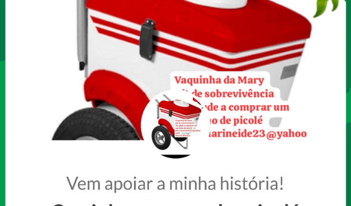 Carrinho para vender picolé 