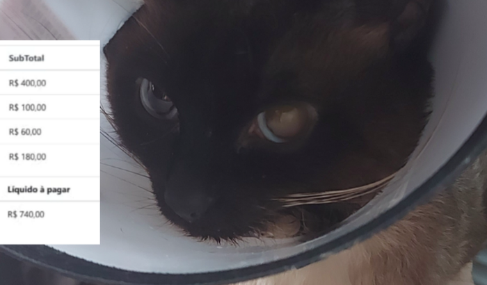 vaquinha para o internamento e tratamento do Nicklaus