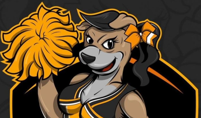 Treino das alfas cheerleader 