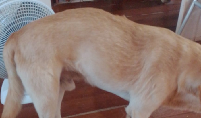 Ajude o não parar de andar