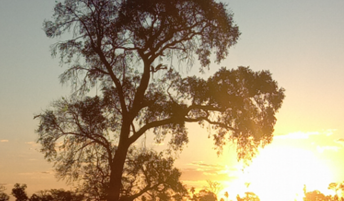 violão...pra minha filha 