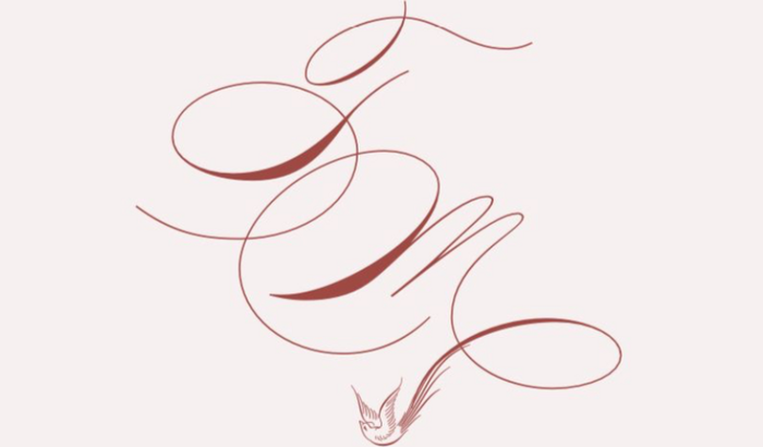 Vakinha da Lua de Mel!