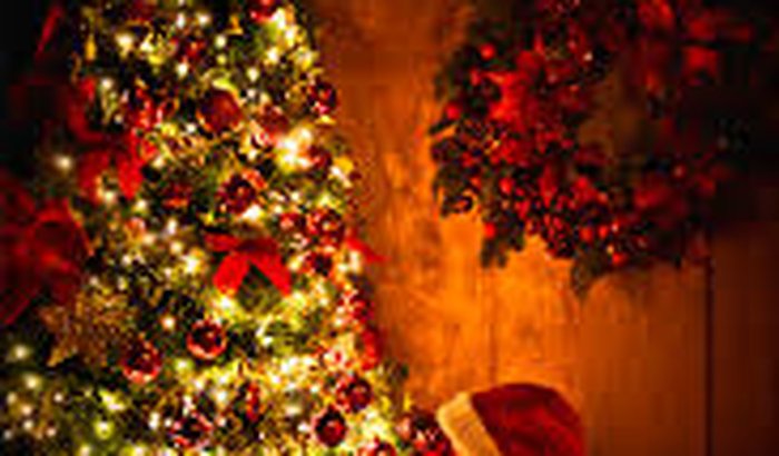 Natal Solidário