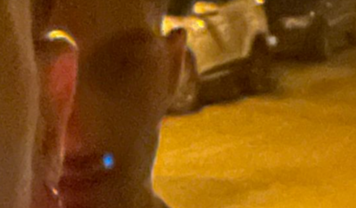 conserto celular mangal