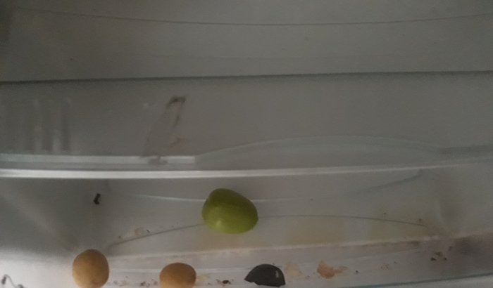 Ajude a família Nunes