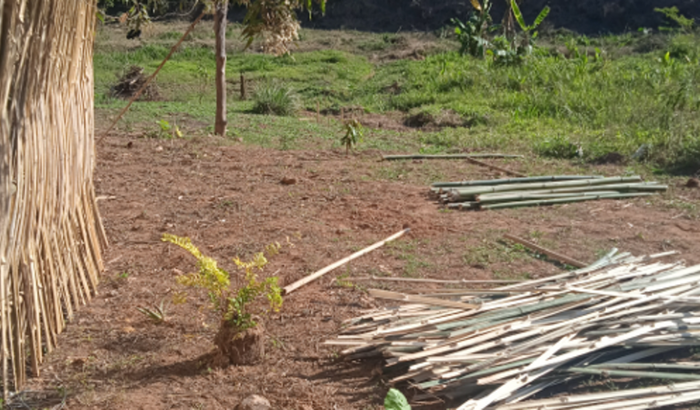 Ajuda no meu rancho de hortaliças 
