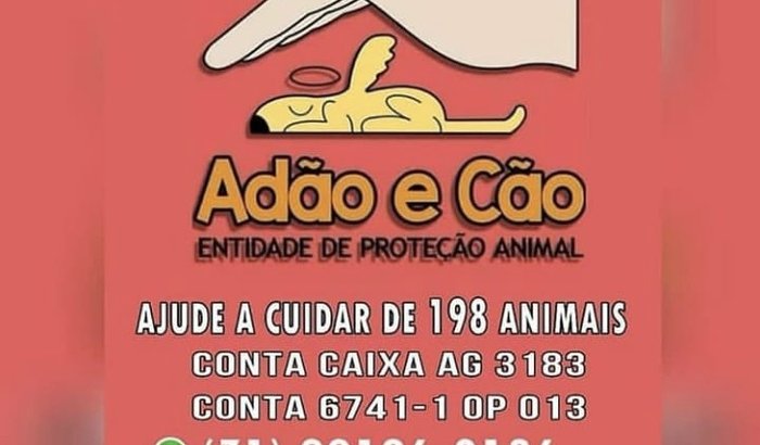 Ajuda para pagar aluguel do abrigo Adão e Cão