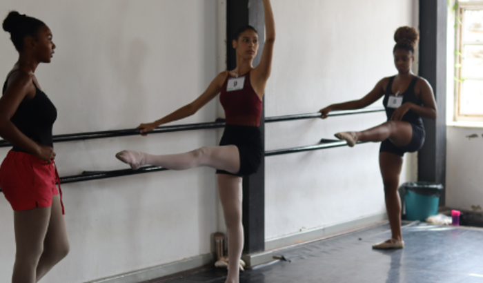 Ajude a Bailarina Malu a chegar a Suiça