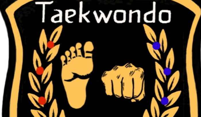 TAEKWONDO PROJETO ALVORECER