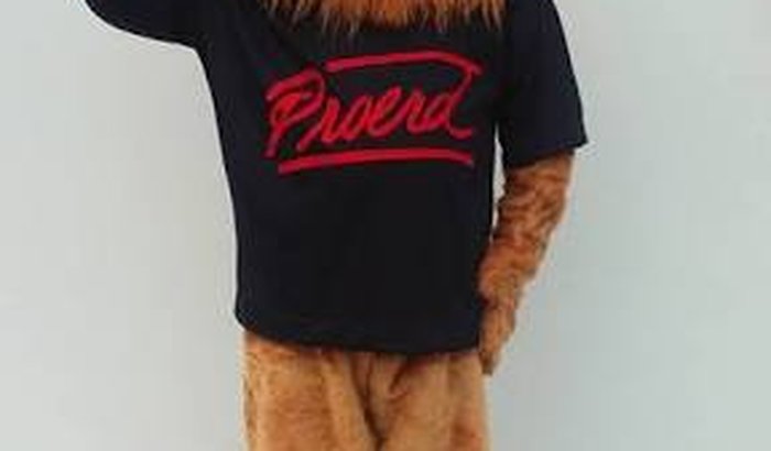 Mascote do PROERD 