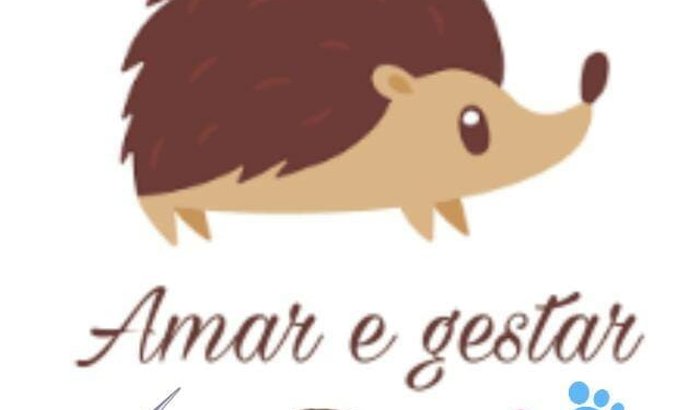 Natal para Andreia 