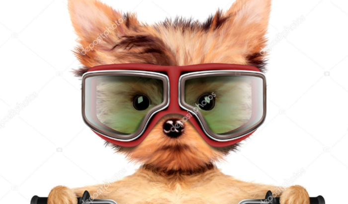 Ajuda para voltar a trabalhar!!!