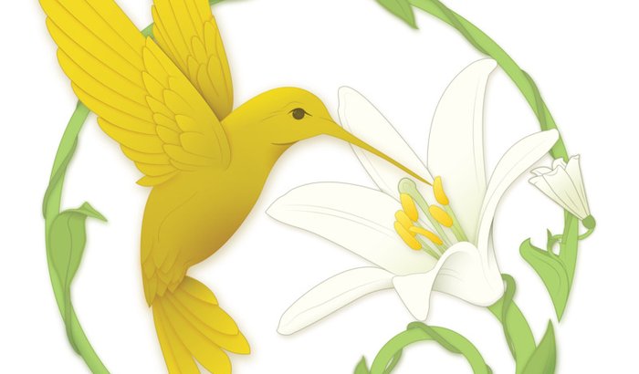 Som no Colibri Dourado