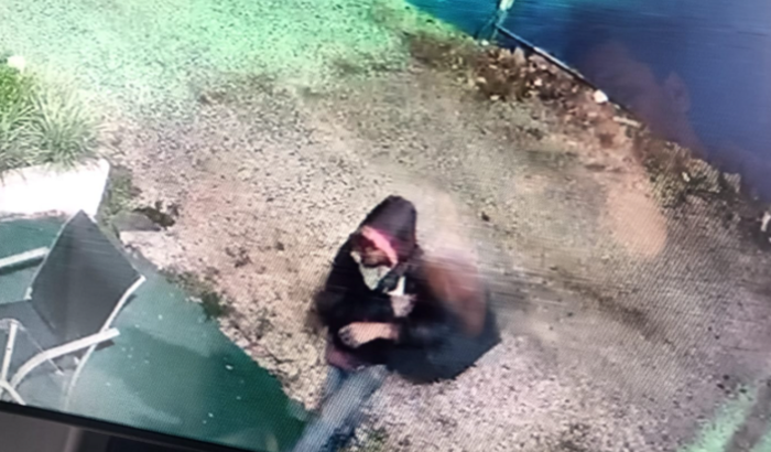 Ajuda para repor materiais roubados 