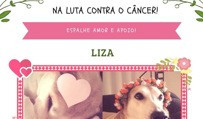 Ajude a Liza