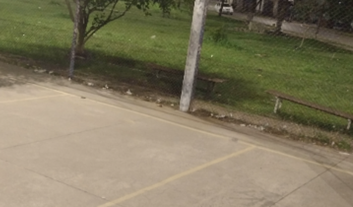 Reforma quadrinha pdm 