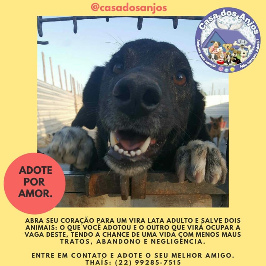 Hotelzinho - Dezembro