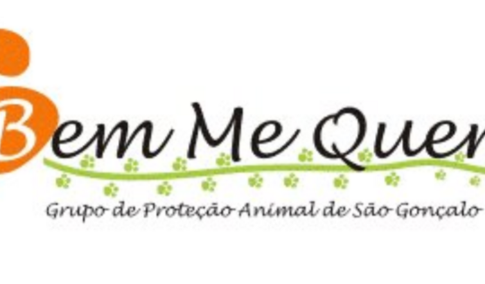 Protetoras de animais precisam da sua ajuda