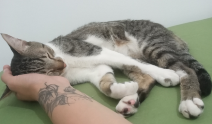 Ajudar a alugar um lar.