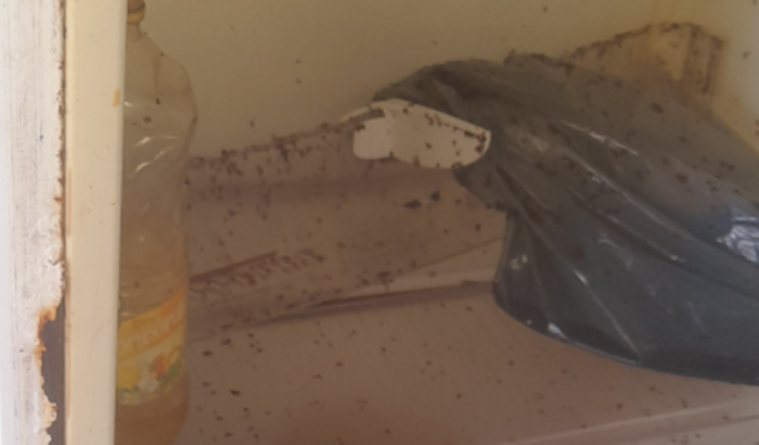 Dona Maria precisa trabalhar