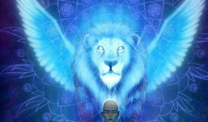 CNH e alugar um carro, trabalhar de Uber para criar meus filhos.