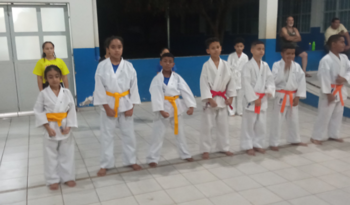 Comprar tatame pra ensinar aulas de karatê 