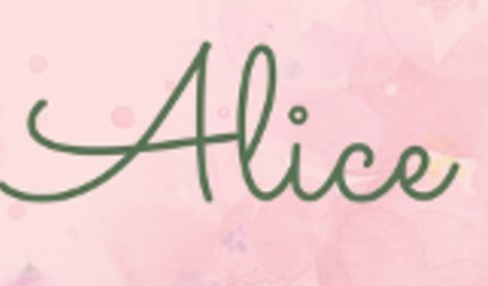 Fraldas ecológicas da Alice