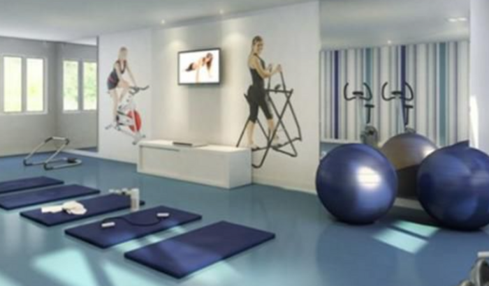 VAQUINHA ACADEMIA OV