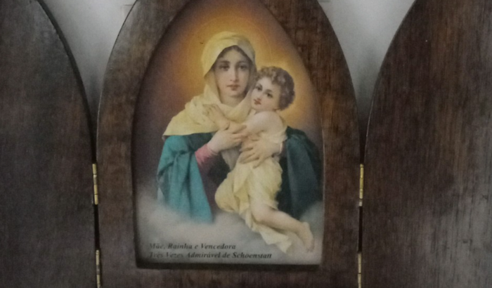 Levar as senhoras missionárias ao santuário em romaria. 