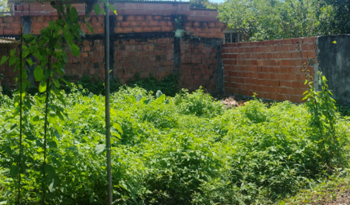 Construindo minha casa nova🏡