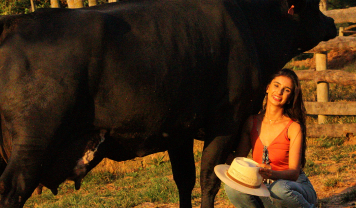 Me ajude nĂŁo perder meu rebanho đ„ș