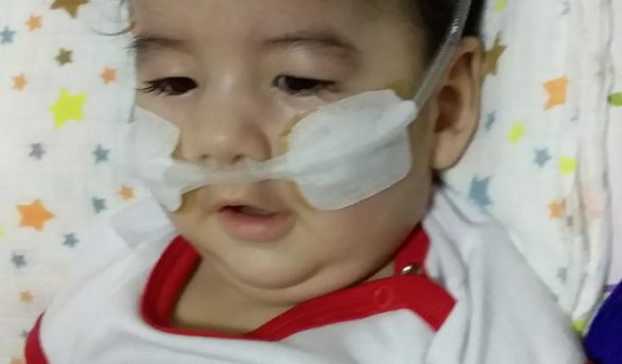 Ajude o Santino