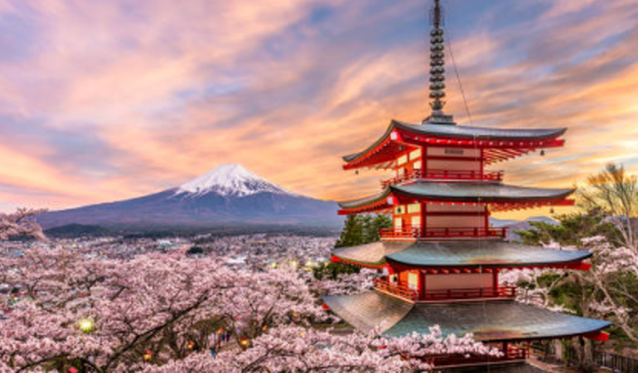 Ajudar o Lobo no Japão