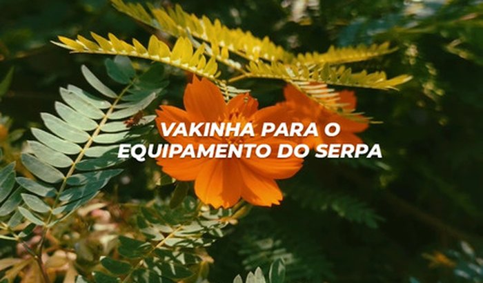 VAQUINHA PARA O EQUIPAMENTO DO SERPA