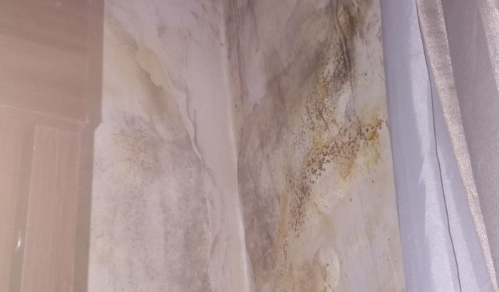 Reconstrução do Telhado