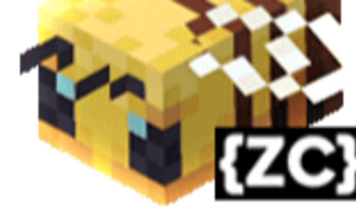 Campeonato de Desenvolvimento ZC Community