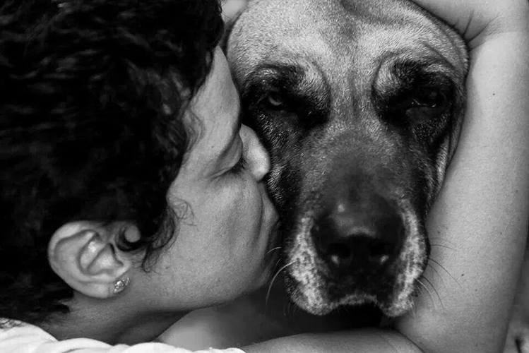 Aniversário de 50 anos - Presente Solidário para causa animal