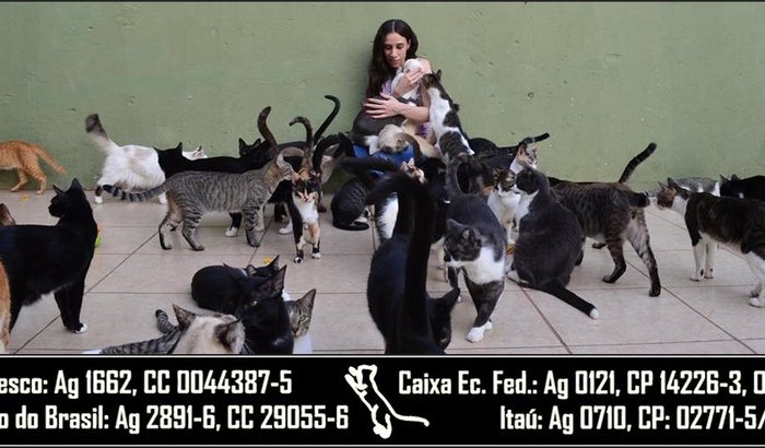 Ajuda para 230 gatinhos (Abrigo e Cemitério)