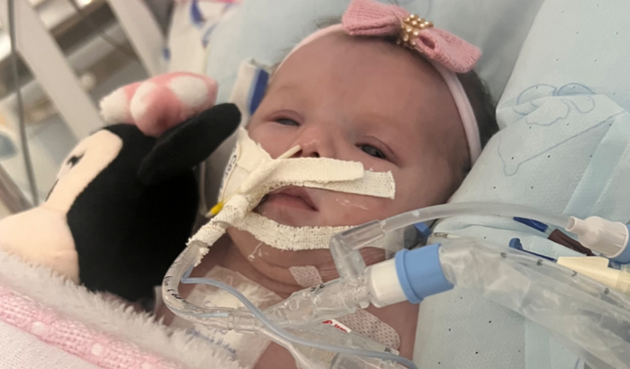 Ajuda de custo para princesa Antonella