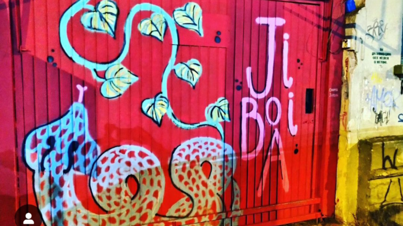 imagem da vaquinha RECONSTRUÇÃO MURO JIBÓIA 