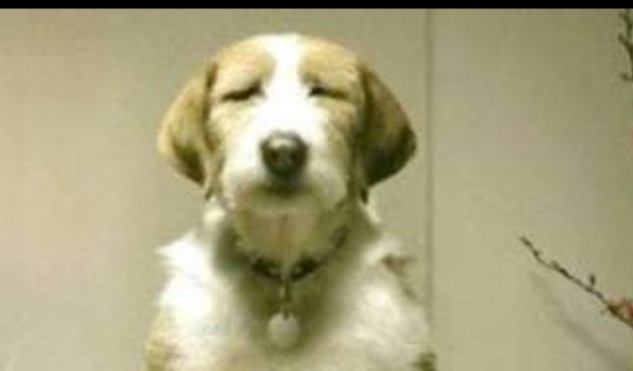 Festa para as crianças 