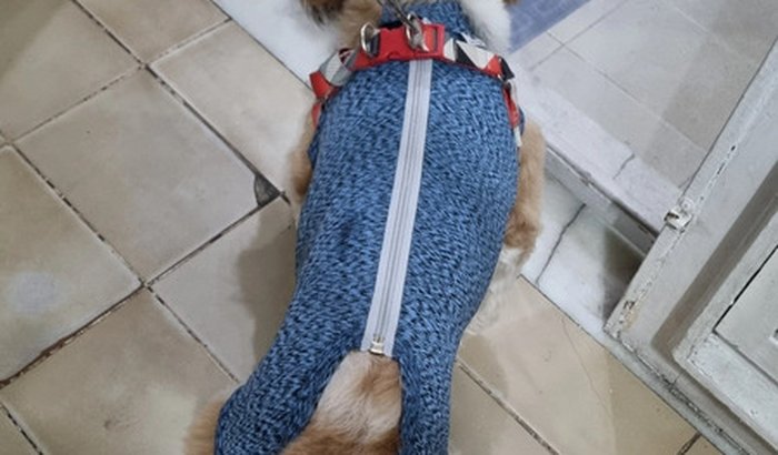 Ajudem o Luke Skywalker a recuperar sua força...