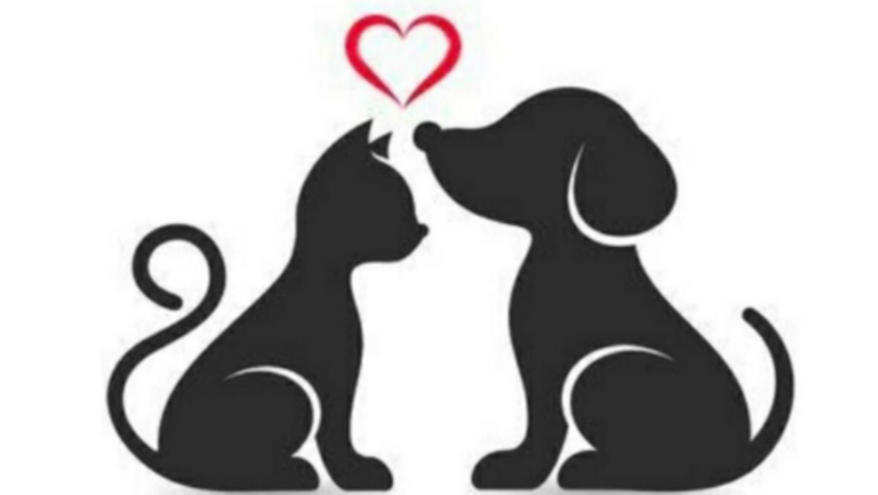 S.O.S Amor a quatro patas