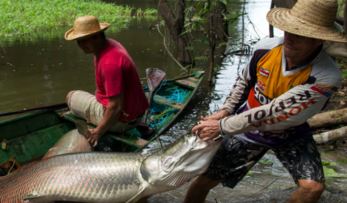 CAMPANHA EM FAVOR DOS PESCADORES 