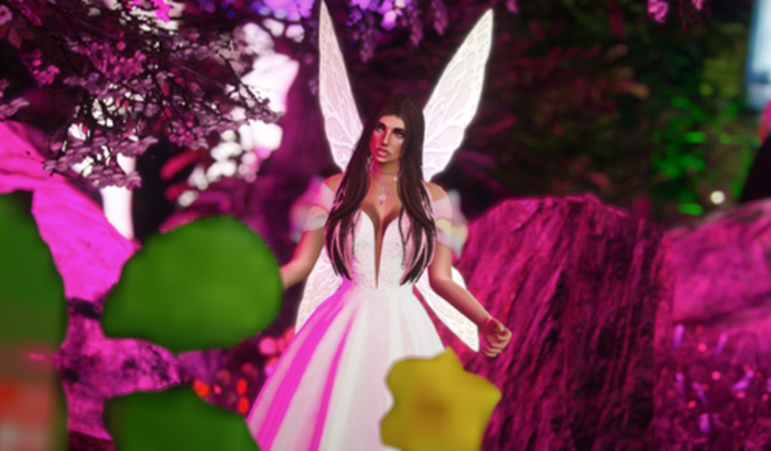 Ajudar a bloom a comprar uma placa de vídeo 