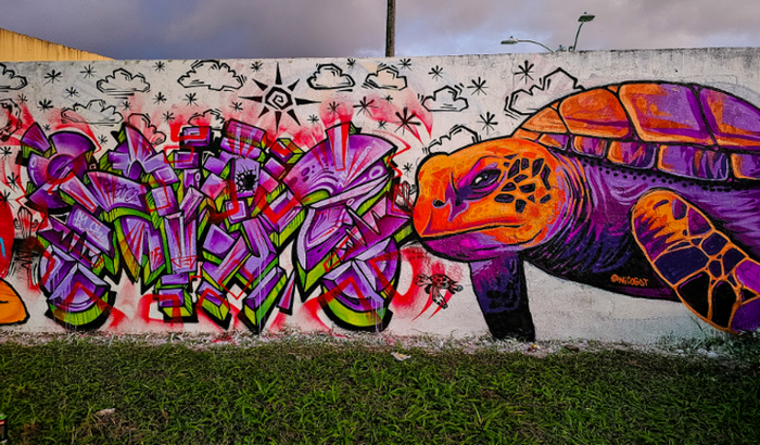 FESTIVAL DE GRAFFITI NA COLÔMBIA