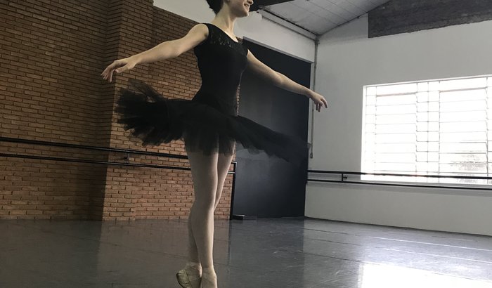 Curso de Ballet em New York 